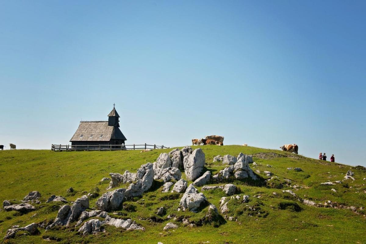 הוילה Kamniska Bistrica Koca Predilnica Velika Planina מראה חיצוני תמונה