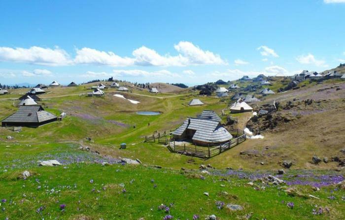 הוילה Kamniska Bistrica Koca Predilnica Velika Planina מראה חיצוני תמונה